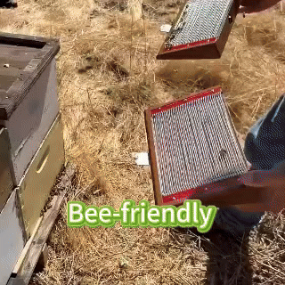 👩‍⚕️LOVILDS™ BeeDerm RX Cream, Painless, easy and gentle fix for warts, skin tags, lumps, infections, cysts and scars🎁